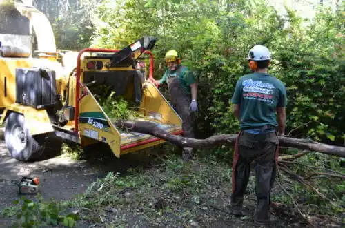 tree services Fort Lupton